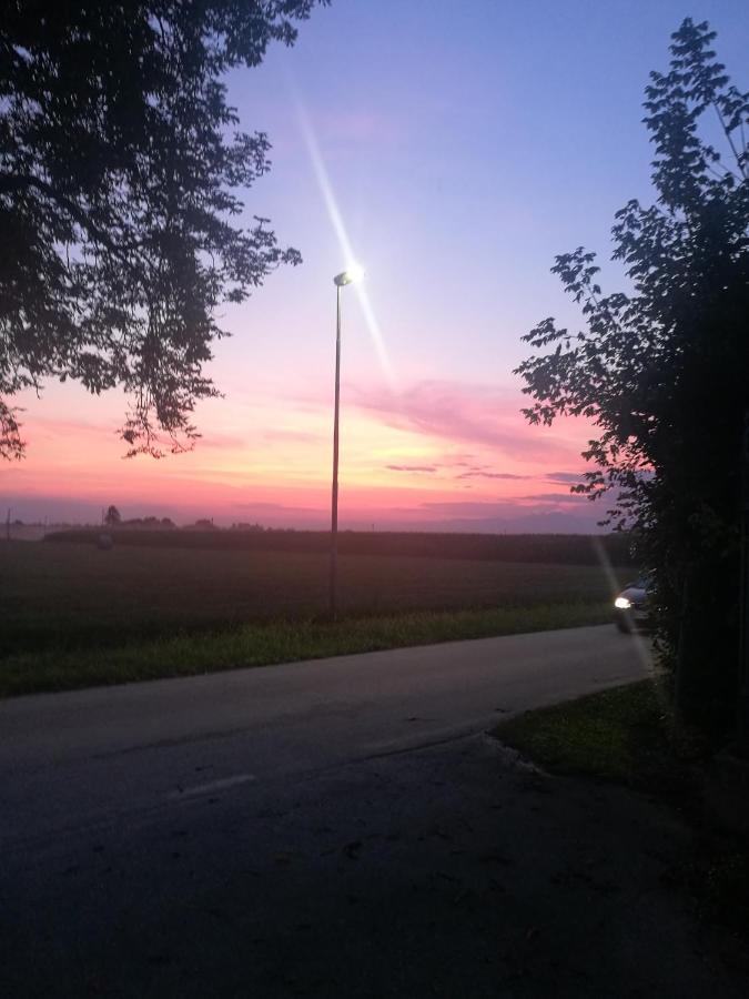 Morsano al Tagliamento Borgo Dei Conti Della Torreゲストハウス エクステリア 写真