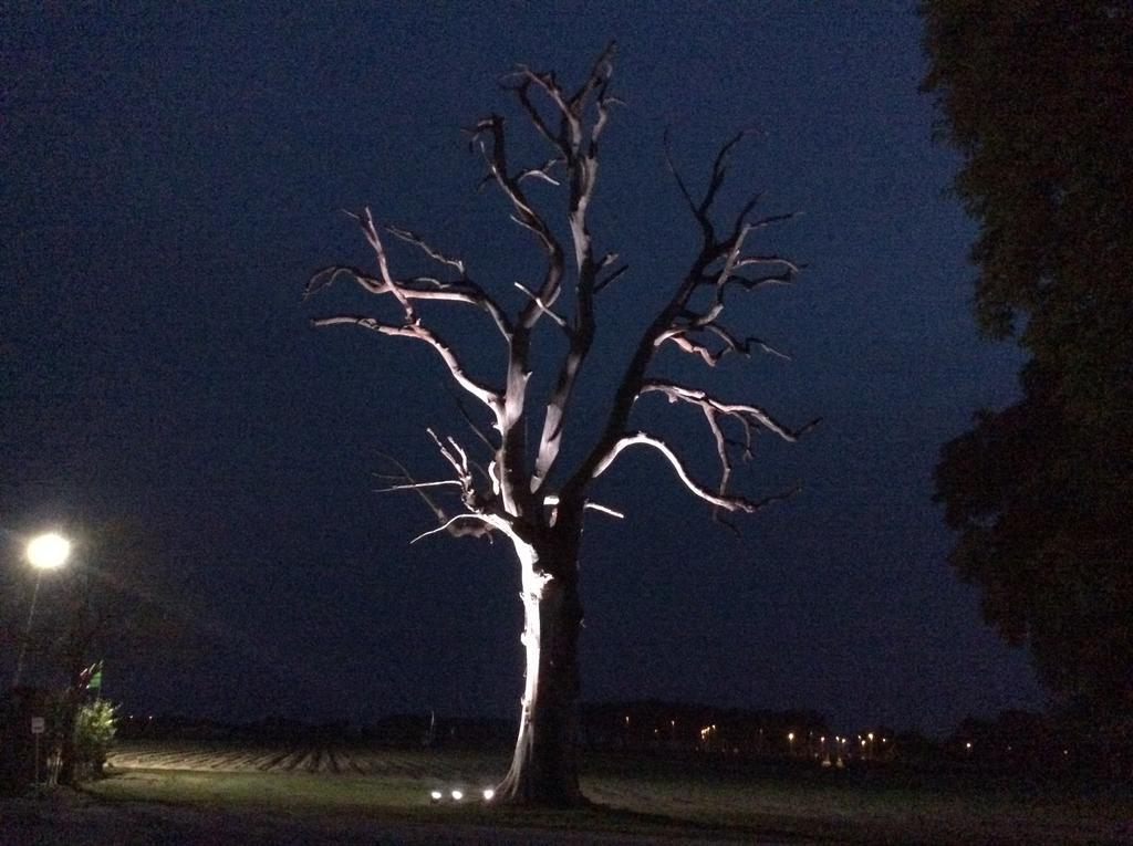 Morsano al Tagliamento Borgo Dei Conti Della Torreゲストハウス エクステリア 写真